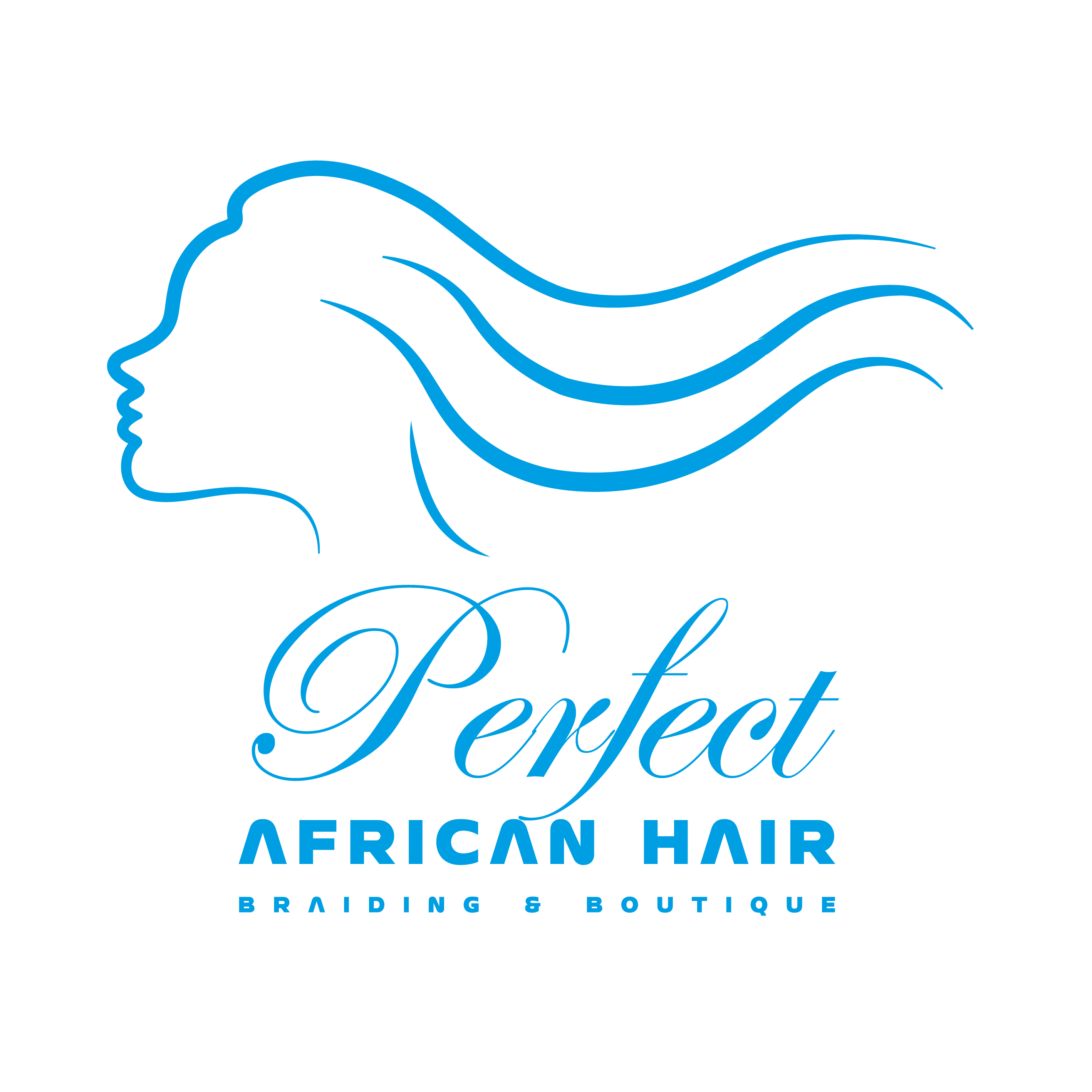 Perfect African Hair Braiding